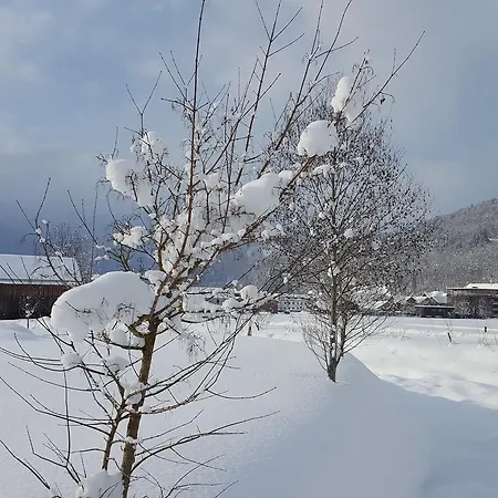 Gaestehaus Monika Lägenhet