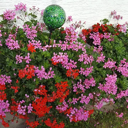 Gaestehaus Monika Lägenhet